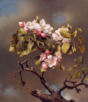 Martin Johnson Heade : Branch of Apple Blossoms against a Cloudy Sky